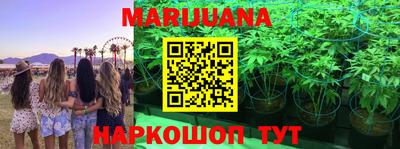 гидра Кимры