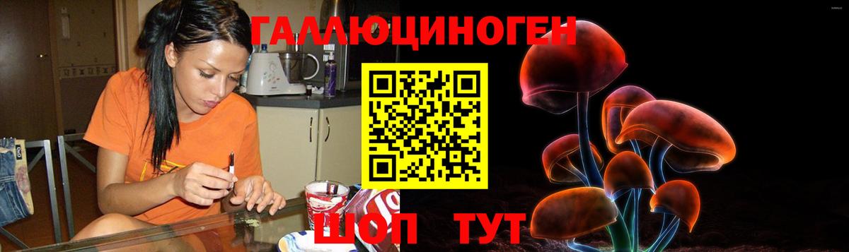 Красный Сулин  Галлюциногенные грибы Psilocybe  Вход с VPN  Галлюциногенные грибы Magic Shrooms 